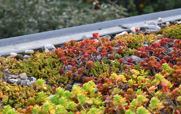 the cost of Priorslee green roof installation