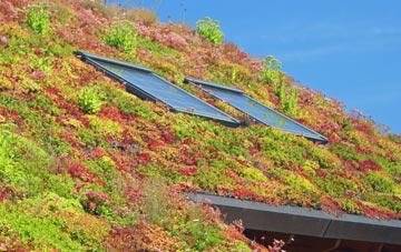 Priorslee living roof systems